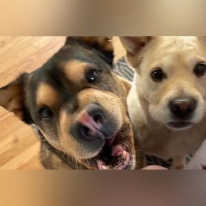 Meet your Posher, Erika